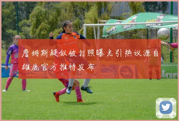 詹姆斯疑似被打照曝光引热议源自雄鹿官方推特发布